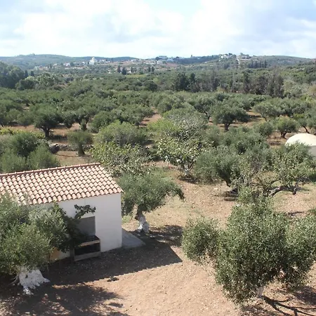 Theofilos Διαμέρισμα Λιβάδι Κυθήρων