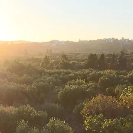 Theofilos * Livadi (Kythira)