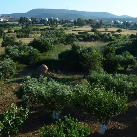 Theofilos Διαμέρισμα