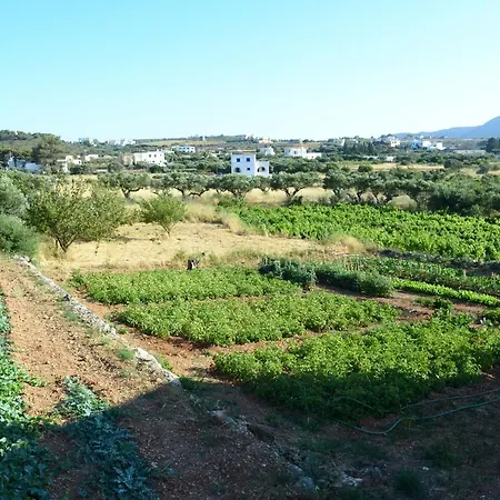Theofilos Διαμέρισμα *