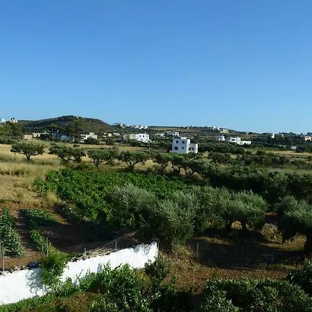 Theofilos Διαμέρισμα