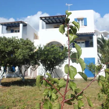 Theofilos Διαμέρισμα