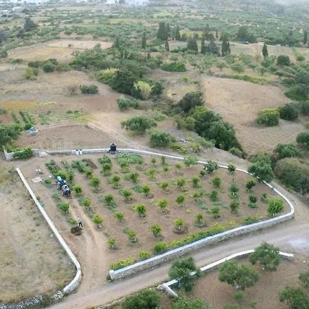 Theofilos Λιβάδι Κυθήρων