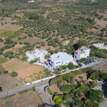 Διαμέρισμα Theofilos *